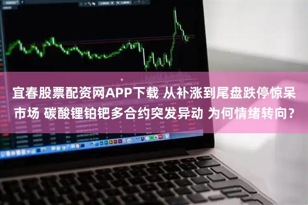 宜春股票配资网APP下载 从补涨到尾盘跌停惊呆市场 碳酸锂铂钯多合约突发异动 为何情绪转向？