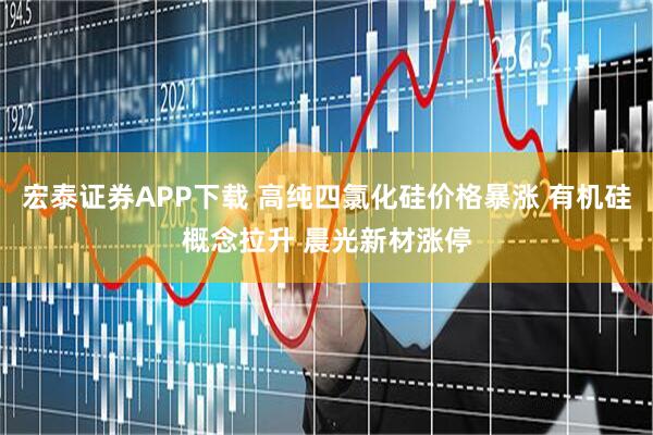 宏泰证券APP下载 高纯四氯化硅价格暴涨 有机硅概念拉升 晨光新材涨停
